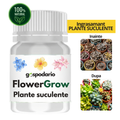 FlowerGrow - Ingrasamant pentru plante suculente cu eliberare lenta 20g efect 180 zile Gospodario