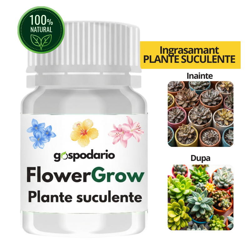 FlowerGrow - Ingrasamant pentru plante suculente cu eliberare lenta 20g efect 180 zile Gospodario